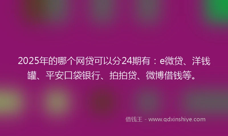 2025年的哪个网贷可以分24期有：e微贷、洋钱罐、平安口袋银行、拍拍贷、微博借钱等。