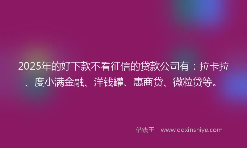 2025年的好下款不看征信的贷款公司有：拉卡拉、度小满金融、洋钱罐、惠商贷、微粒贷等。