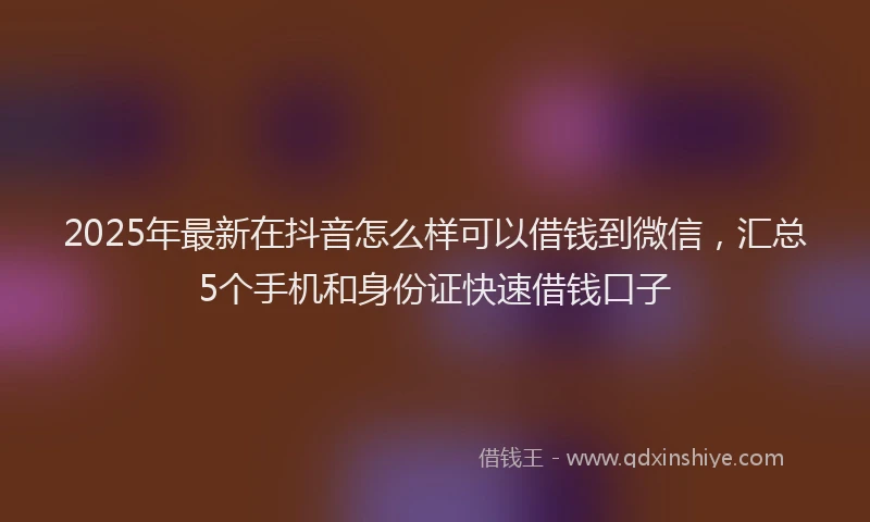 2025年最新在抖音怎么样可以借钱到微信，汇总5个手机和身份证快速借钱口子