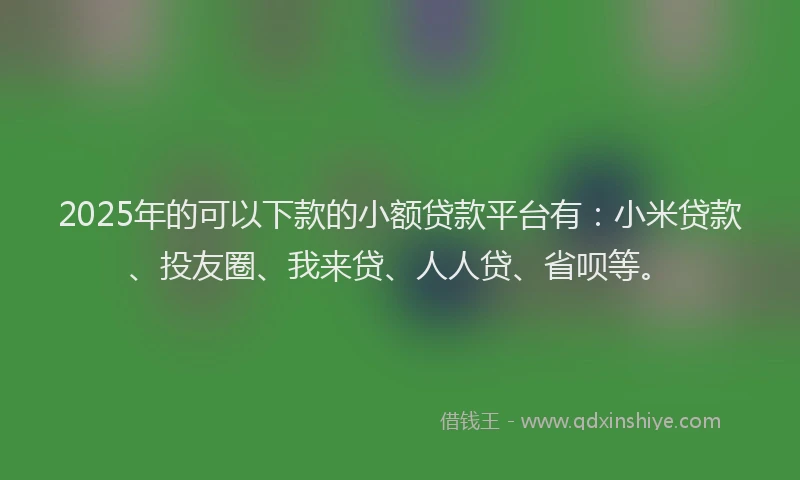 2025年的可以下款的小额贷款平台有：小米贷款、投友圈、我来贷、人人贷、省呗等。