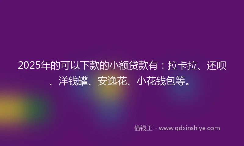 2025年的可以下款的小额贷款有：拉卡拉、还呗、洋钱罐、安逸花、小花钱包等。