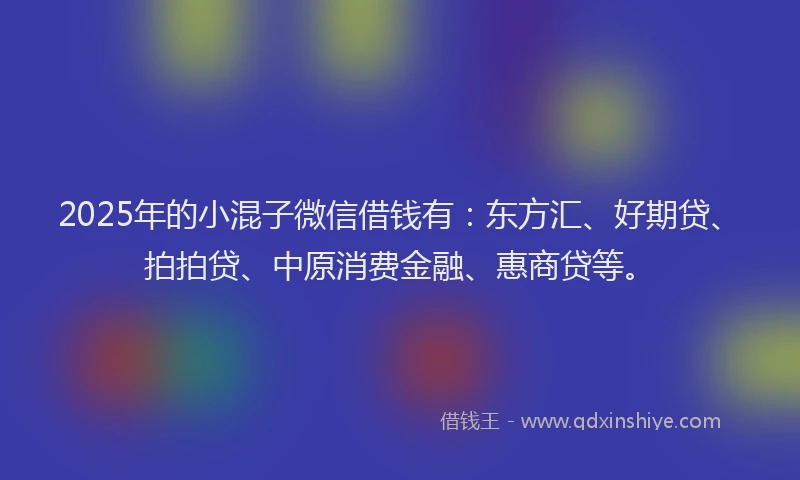 2025年的小混子微信借钱有：东方汇、好期贷、拍拍贷、中原消费金融、惠商贷等。