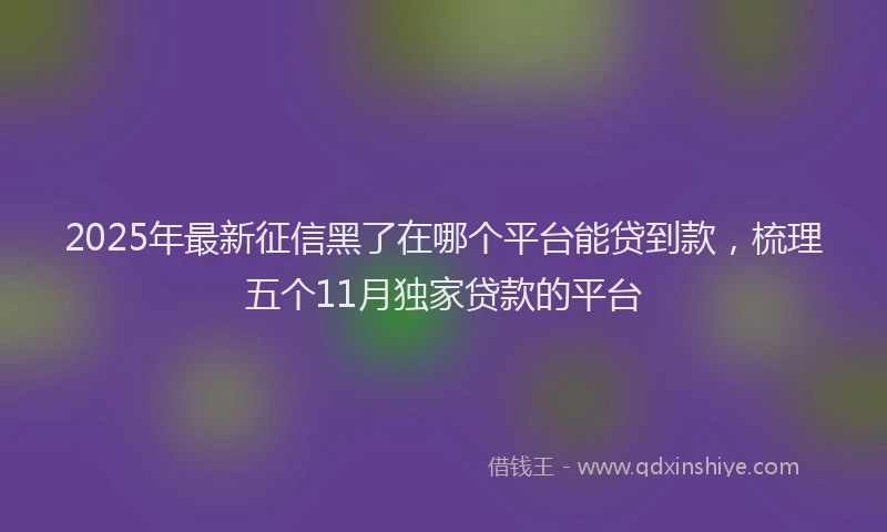 2025年最新征信黑了在哪个平台能贷到款，梳理五个11月独家贷款的平台