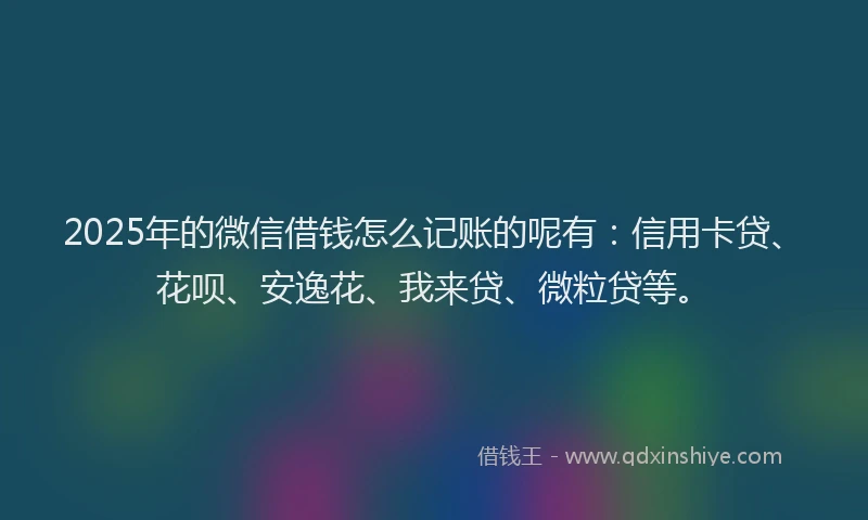 2025年的微信借钱怎么记账的呢有：信用卡贷、花呗、安逸花、我来贷、微粒贷等。
