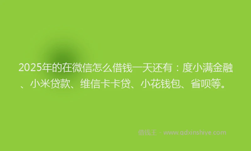 2025年的在微信怎么借钱一天还有：度小满金融、小米贷款、维信卡卡贷、小花钱包、省呗等。
