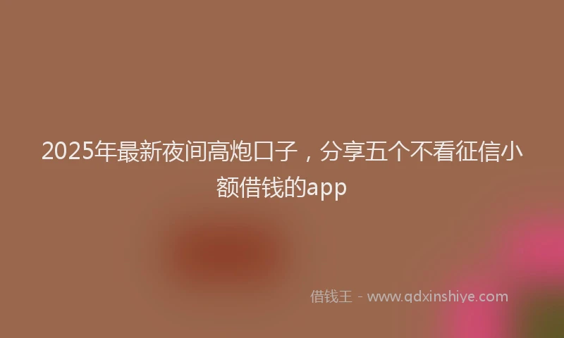 2025年最新夜间高炮口子，分享五个不看征信小额借钱的app