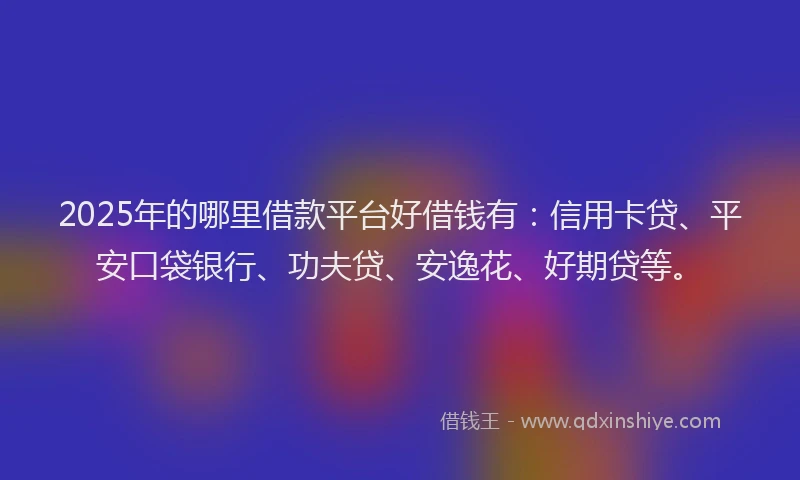 2025年的哪里借款平台好借钱有：信用卡贷、平安口袋银行、功夫贷、安逸花、好期贷等。