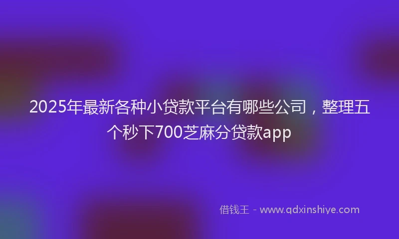 2025年最新各种小贷款平台有哪些公司，整理五个秒下700芝麻分贷款app