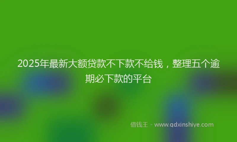 2025年最新大额贷款不下款不给钱，整理五个逾期必下款的平台