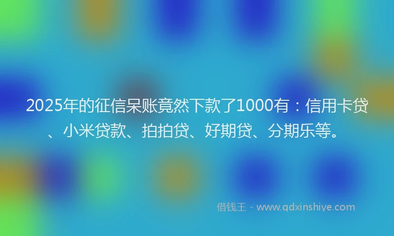 2025年的征信呆账竟然下款了1000有：信用卡贷、小米贷款、拍拍贷、好期贷、分期乐等。
