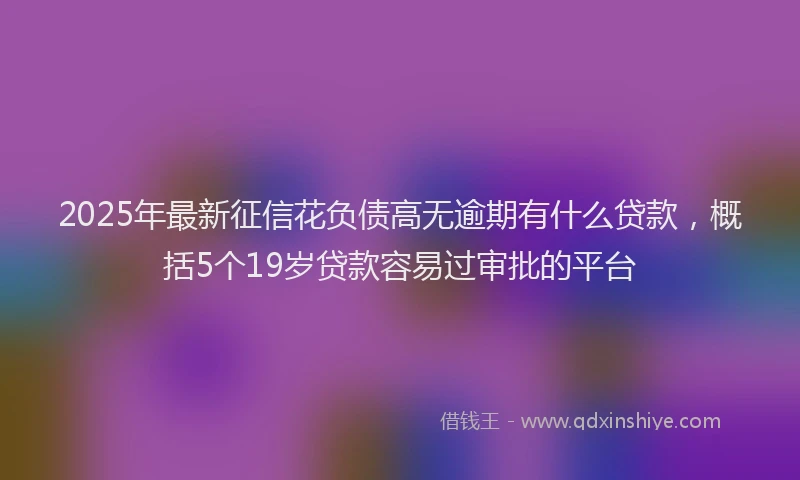 2025年最新征信花负债高无逾期有什么贷款，概括5个19岁贷款容易过审批的平台