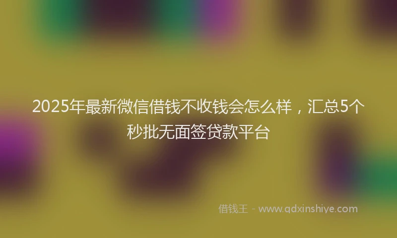 2025年最新微信借钱不收钱会怎么样，汇总5个秒批无面签贷款平台