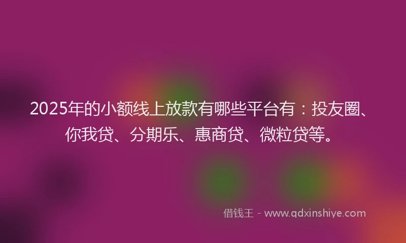 2025年的小额线上放款有哪些平台有：投友圈、你我贷、分期乐、惠商贷、微粒贷等。
