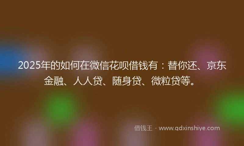 2025年的如何在微信花呗借钱有：替你还、京东金融、人人贷、随身贷、微粒贷等。