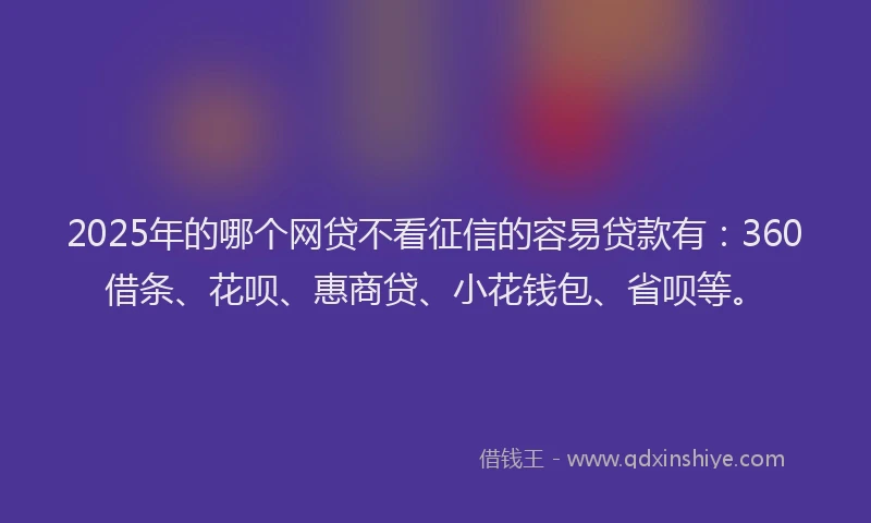 2025年的哪个网贷不看征信的容易贷款有：360借条、花呗、惠商贷、小花钱包、省呗等。