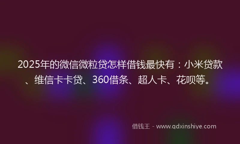 2025年的微信微粒贷怎样借钱最快有：小米贷款、维信卡卡贷、360借条、超人卡、花呗等。