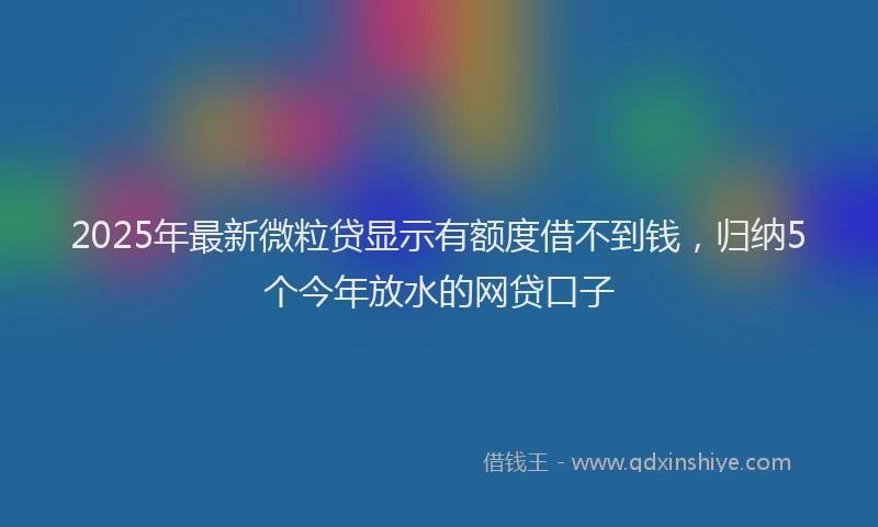 2025年最新微粒贷显示有额度借不到钱，归纳5个今年放水的网贷口子
