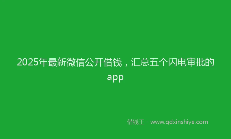 2025年最新微信公开借钱，汇总五个闪电审批的app