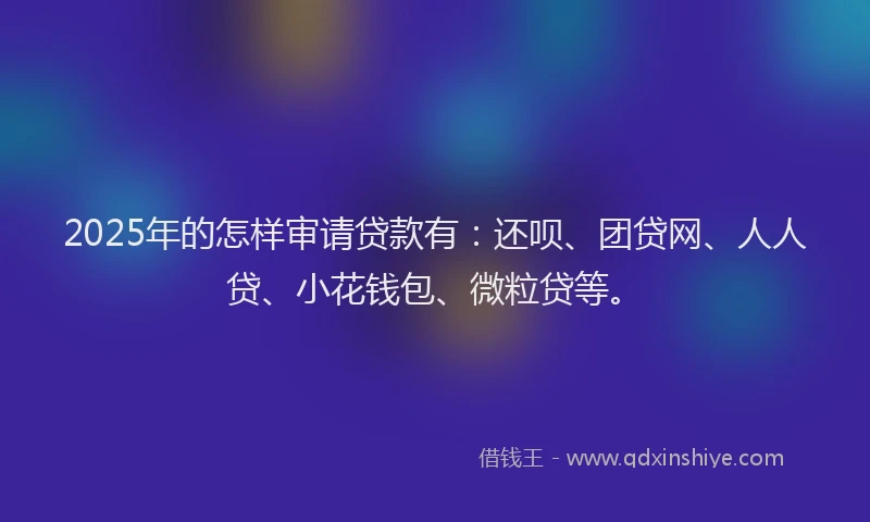 2025年的怎样审请贷款有：还呗、团贷网、人人贷、小花钱包、微粒贷等。