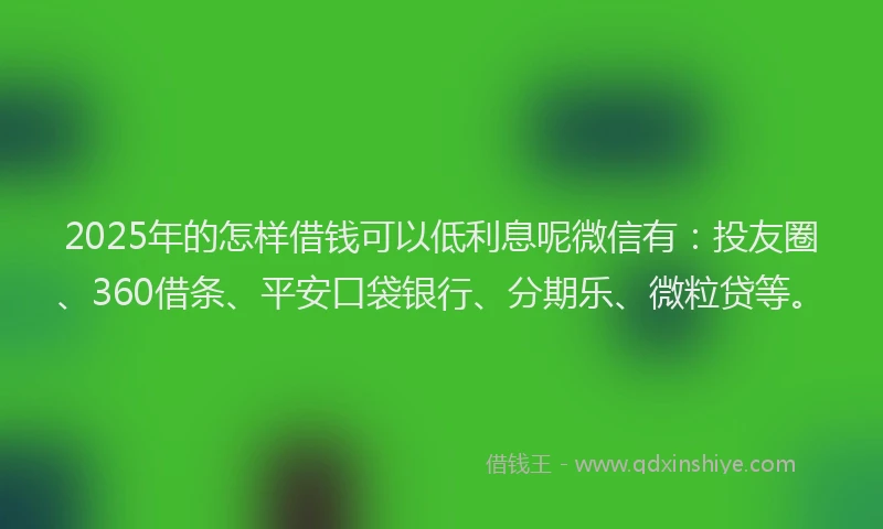 2025年的怎样借钱可以低利息呢微信有：投友圈、360借条、平安口袋银行、分期乐、微粒贷等。