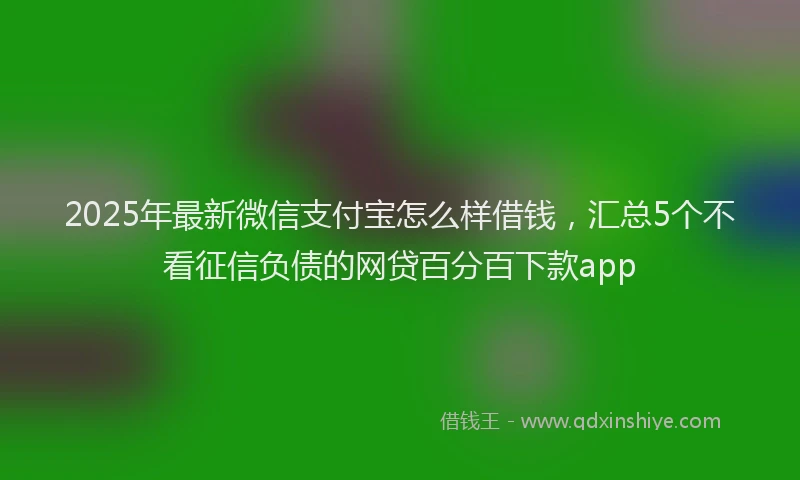 2025年最新微信支付宝怎么样借钱，汇总5个不看征信负债的网贷百分百下款app