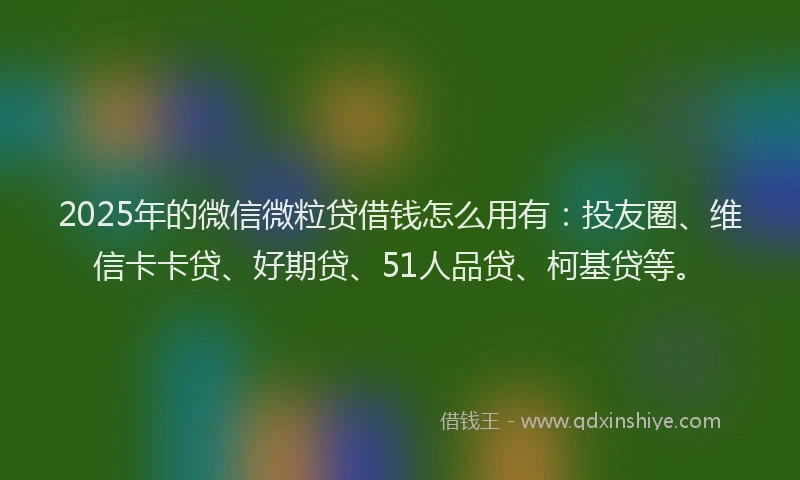 2025年的微信微粒贷借钱怎么用有：投友圈、维信卡卡贷、好期贷、51人品贷、柯基贷等。