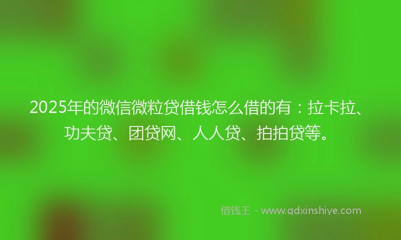 2025年的微信微粒贷借钱怎么借的有：拉卡拉、功夫贷、团贷网、人人贷、拍拍贷等。