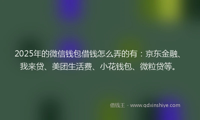 2025年的微信钱包借钱怎么弄的有：京东金融、我来贷、美团生活费、小花钱包、微粒贷等。