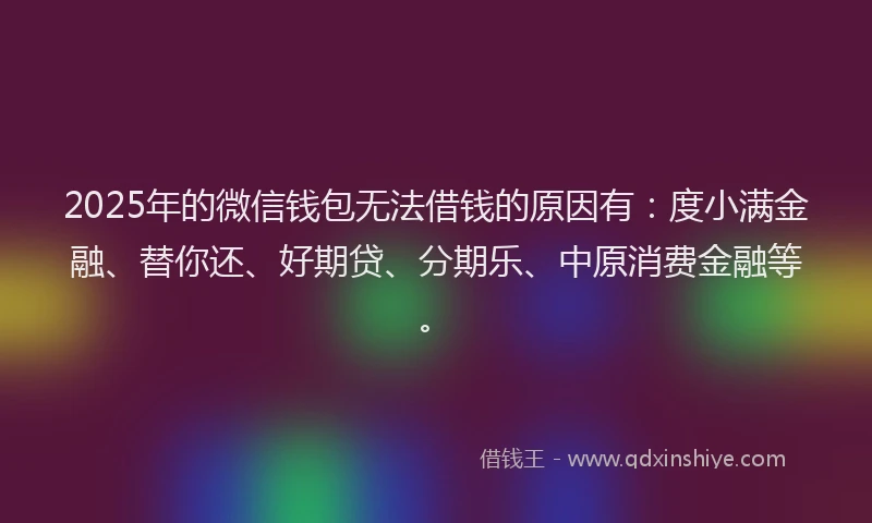2025年的微信钱包无法借钱的原因有：度小满金融、替你还、好期贷、分期乐、中原消费金融等。