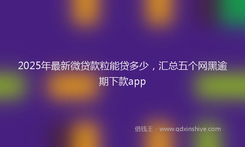 2025年最新微贷款粒能贷多少，汇总五个网黑逾期下款app