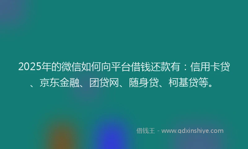 2025年的微信如何向平台借钱还款有：信用卡贷、京东金融、团贷网、随身贷、柯基贷等。