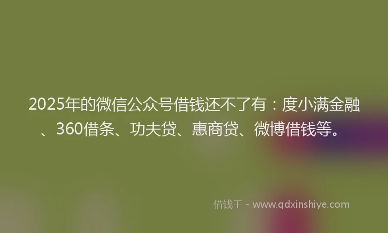 2025年的微信公众号借钱还不了有：度小满金融、360借条、功夫贷、惠商贷、微博借钱等。