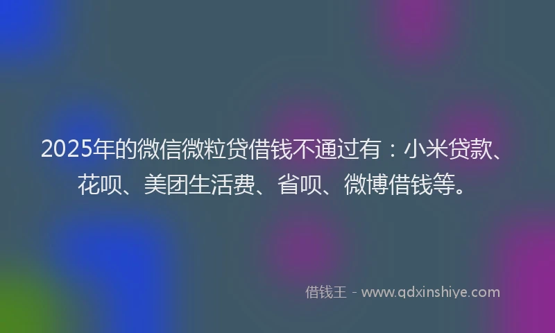 2025年的微信微粒贷借钱不通过有：小米贷款、花呗、美团生活费、省呗、微博借钱等。