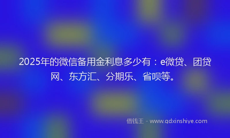 2025年的微信备用金利息多少有：e微贷、团贷网、东方汇、分期乐、省呗等。