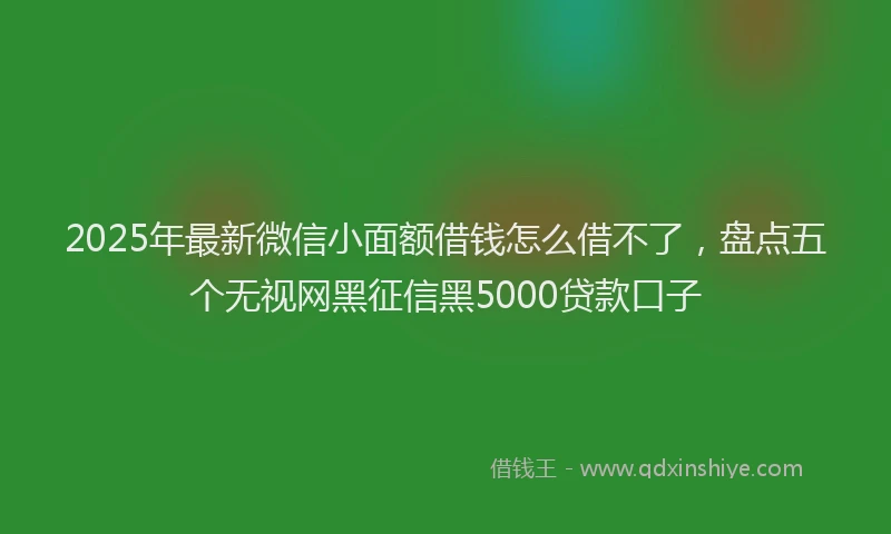 2025年最新微信小面额借钱怎么借不了，盘点五个无视网黑征信黑5000贷款口子