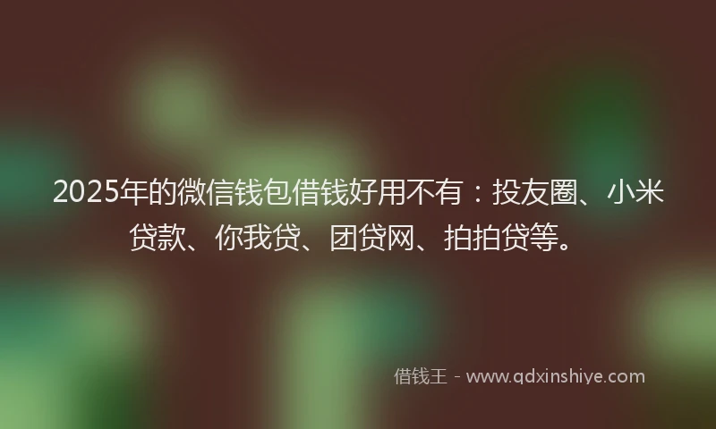 2025年的微信钱包借钱好用不有：投友圈、小米贷款、你我贷、团贷网、拍拍贷等。
