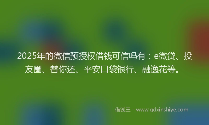 2025年的微信预授权借钱可信吗有：e微贷、投友圈、替你还、平安口袋银行、融逸花等。