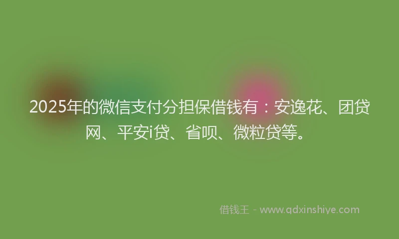 2025年的微信支付分担保借钱有：安逸花、团贷网、平安i贷、省呗、微粒贷等。