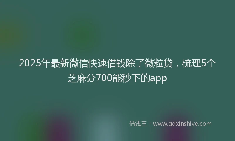 2025年最新微信快速借钱除了微粒贷，梳理5个芝麻分700能秒下的app