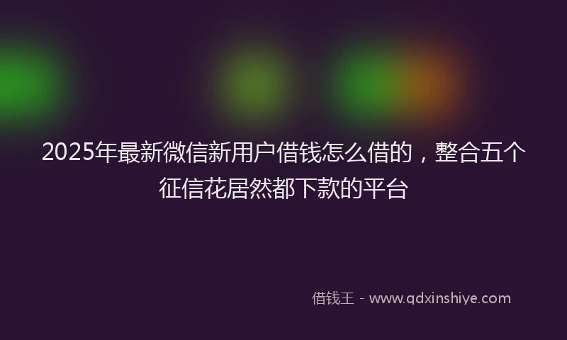 2025年最新微信新用户借钱怎么借的，整合五个征信花居然都下款的平台