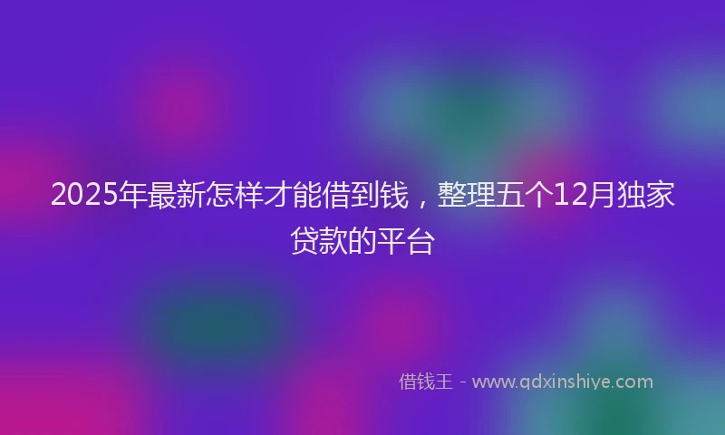 2025年最新怎样才能借到钱，整理五个12月独家贷款的平台