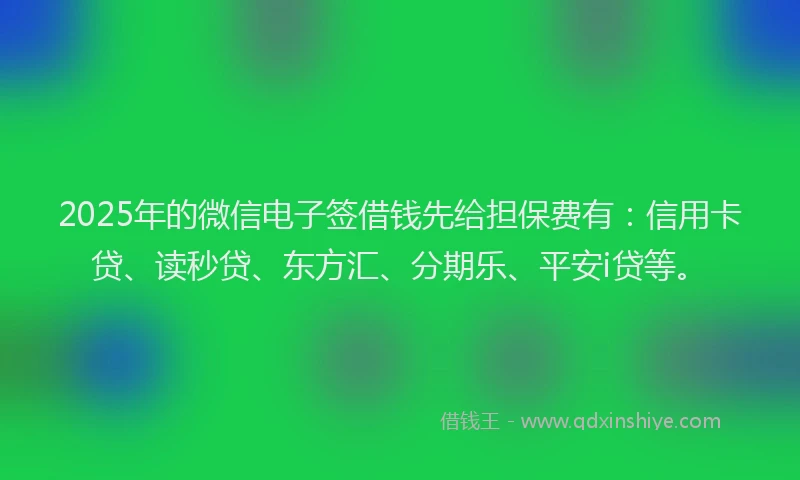 2025年的微信电子签借钱先给担保费有：信用卡贷、读秒贷、东方汇、分期乐、平安i贷等。