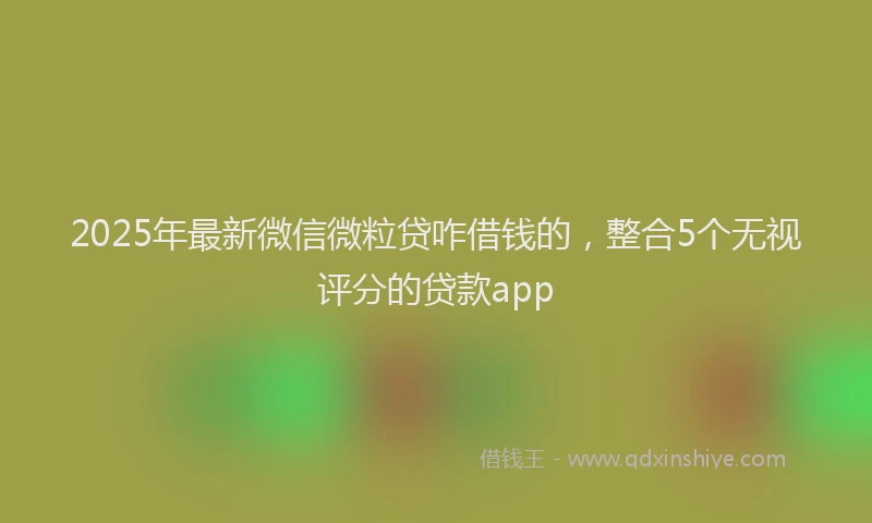 2025年最新微信微粒贷咋借钱的，整合5个无视评分的贷款app