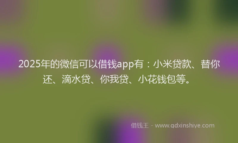 2025年的微信可以借钱app有：小米贷款、替你还、滴水贷、你我贷、小花钱包等。