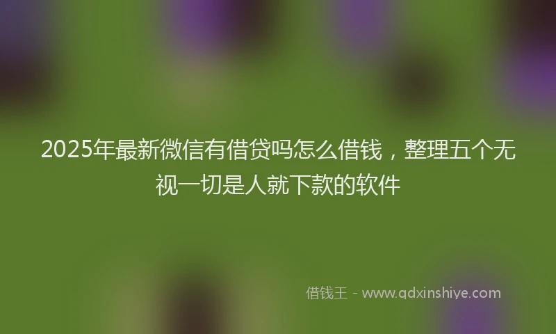 2025年最新微信有借贷吗怎么借钱，整理五个无视一切是人就下款的软件