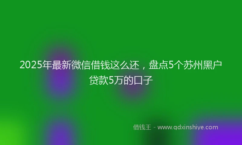 2025年最新微信借钱这么还，盘点5个苏州黑户贷款5万的口子