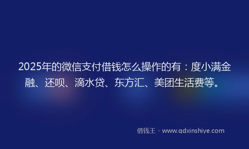 2025年的微信支付借钱怎么操作的有：度小满金融、还呗、滴水贷、东方汇、美团生活费等。