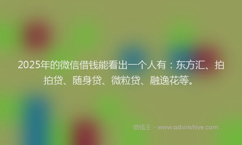 2025年的微信借钱能看出一个人有：东方汇、拍拍贷、随身贷、微粒贷、融逸花等。
