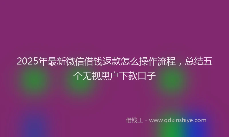 2025年最新微信借钱返款怎么操作流程，总结五个无视黑户下款口子
