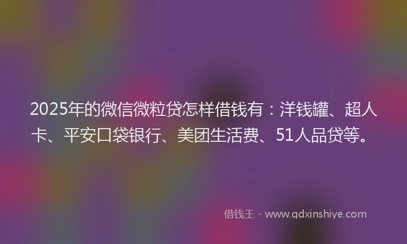 2025年的微信微粒贷怎样借钱有：洋钱罐、超人卡、平安口袋银行、美团生活费、51人品贷等。